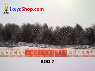 bulu owl polkadot BOD 7   feather  large2